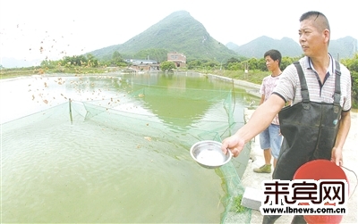 雷厉风行试水家庭农场